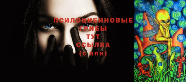 ешки Абаза