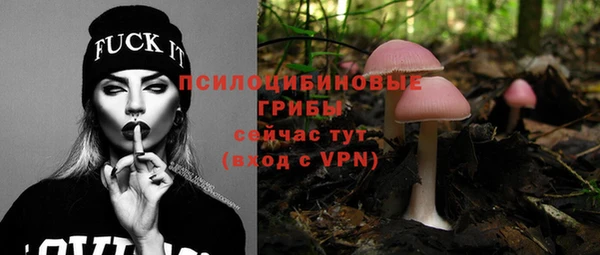 ешки Абаза