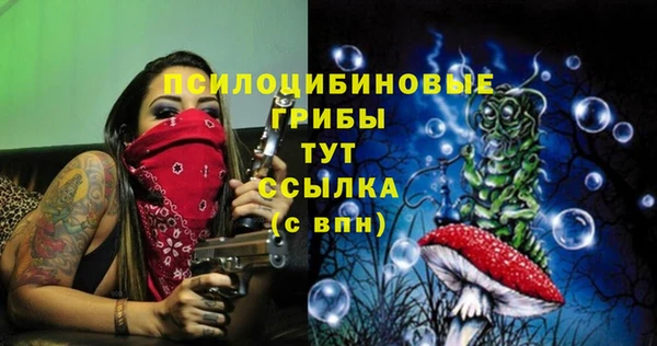 ешки Абаза