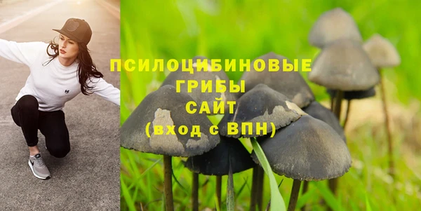 ешки Абаза