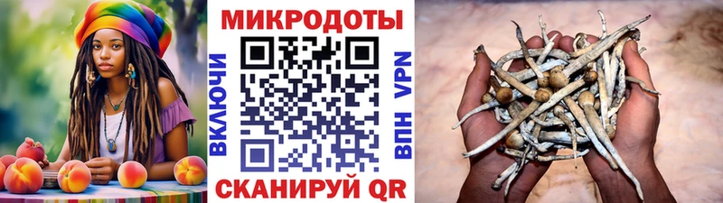 Псилоцибиновые грибы ЛСД  дарнет шоп  Чкаловск 