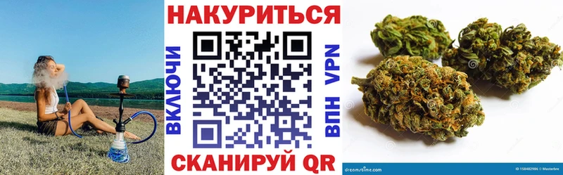 где можно купить наркотик  Чкаловск  Каннабис планчик 